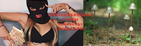 ПСИЛОЦИБИНОВЫЕ ГРИБЫ Михайловск