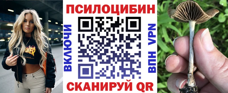 Галлюциногенные грибы GOLDEN TEACHER Алагир